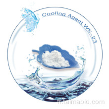 Flavour de refroidissement poudre Agent de refroidissement WS23 CAS 51115-67-4
